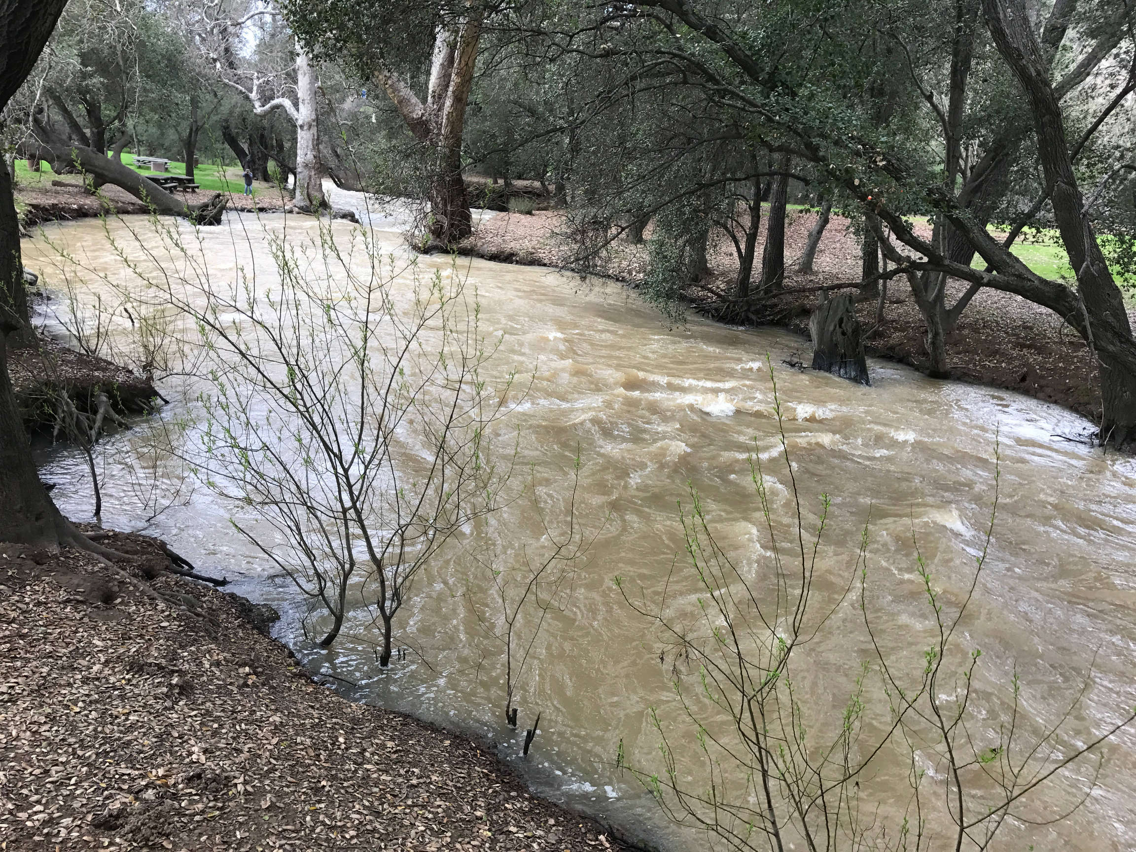 Lake Anderson reservoir water level, Hill homes